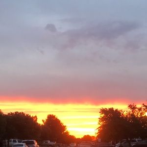 Meet your Posher, Joelyn